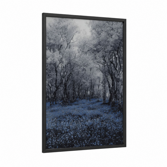 Enchanted Forest Bloom framed dreamscape print — black wood frame — blue and white and gray palette