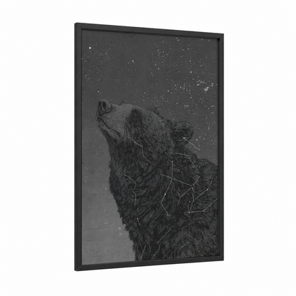Stargazing Grizzly framed grizzly bear print — black wood frame — black and white and gray palette