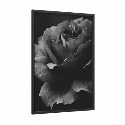 Monochrome Rose Study framed roses print — black wood frame — black and white palette