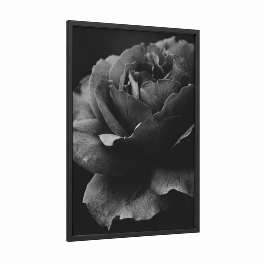 Monochrome Rose Study framed roses print — black wood frame — black and white palette