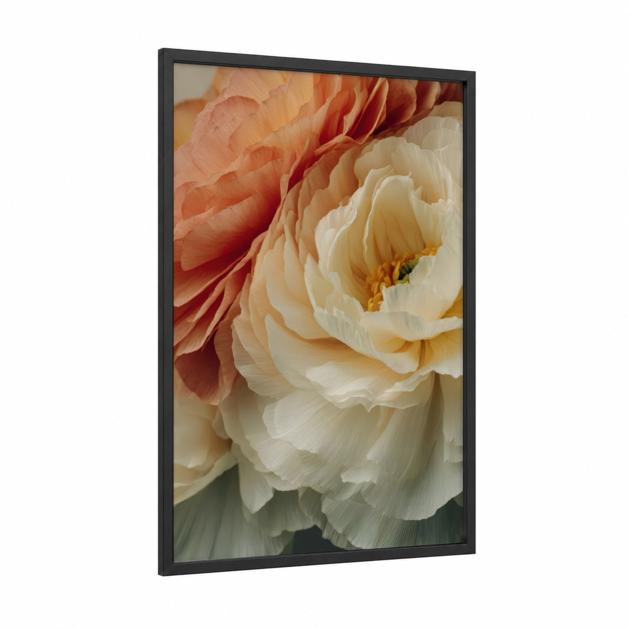 Coral Ranunculus Bloom framed art print — black wood frame — peach and cream palette