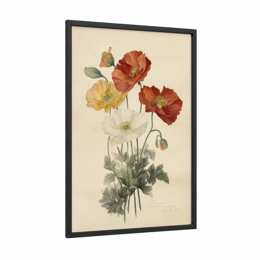 Crimson Poppies framed art print — black wood frame — red and cream palette