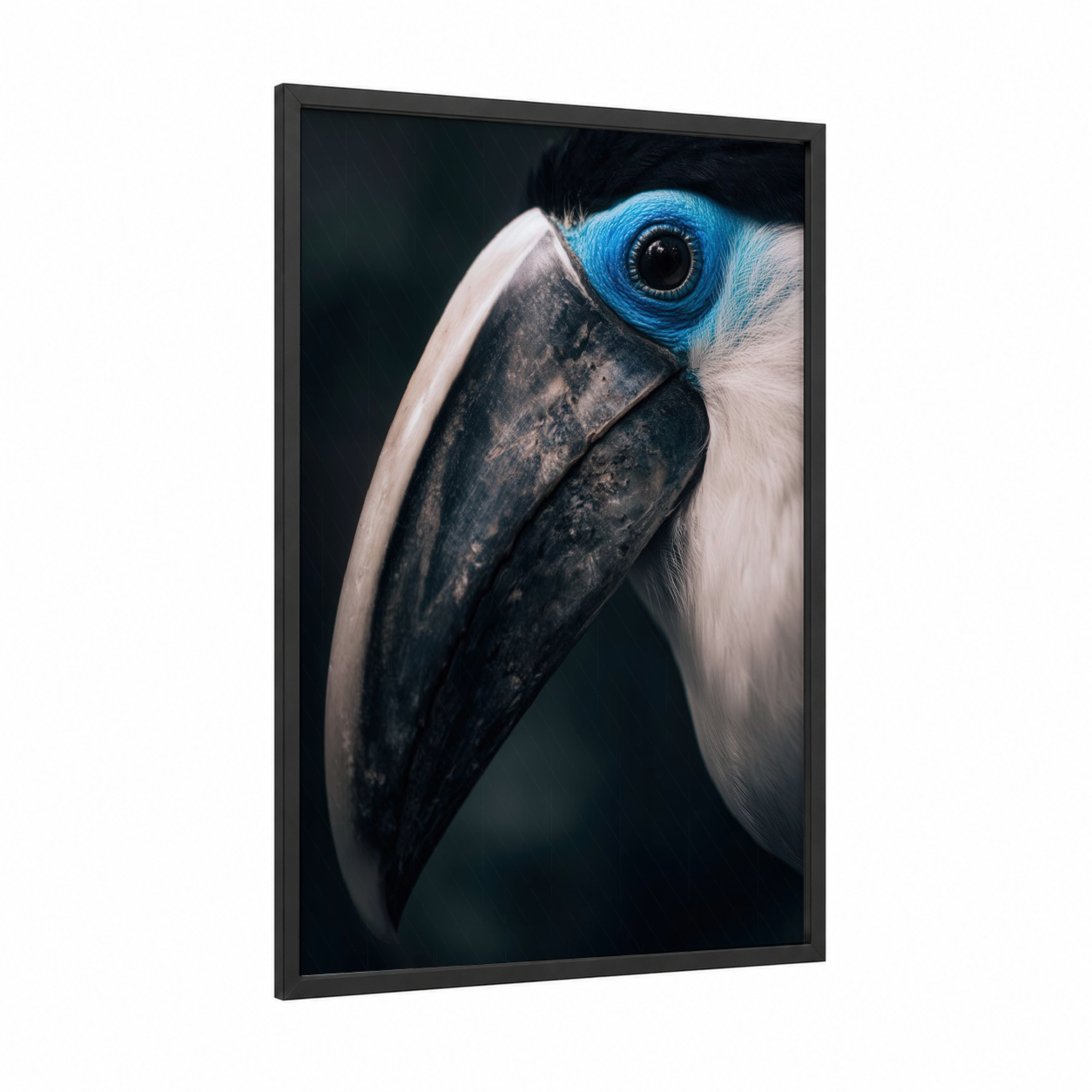 Blue-Eyed Toucan framed art print — black wood frame — blue and black and white palette