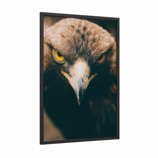 Golden Eagle Portrait framed art print — black wood frame — brown and gold palette