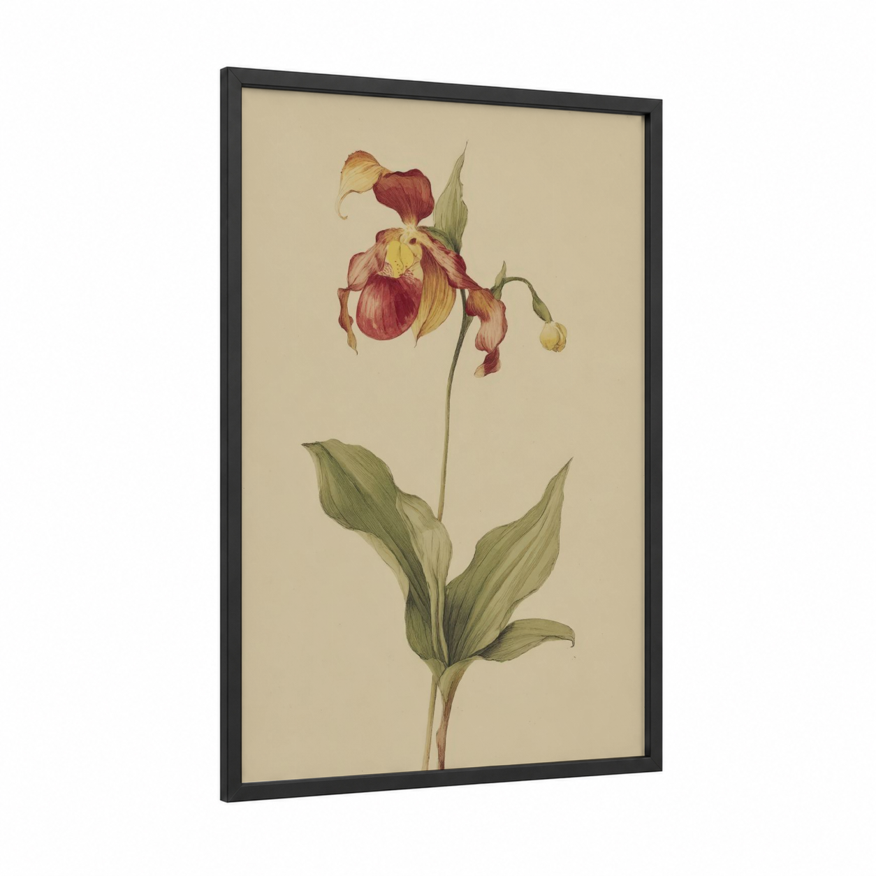 Crimson Lady's Slipper framed orchid print — black wood frame — cream and maroon palette
