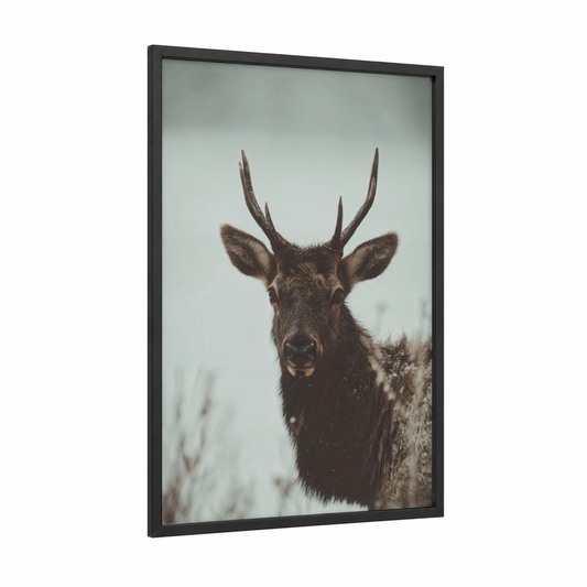 Snowy Elk Portrait framed art print — black wood frame — gray and black palette