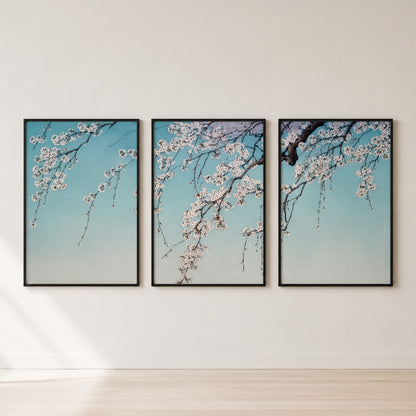 Cherry Blossom Triptych Set of 3 Wall Art — set hero
