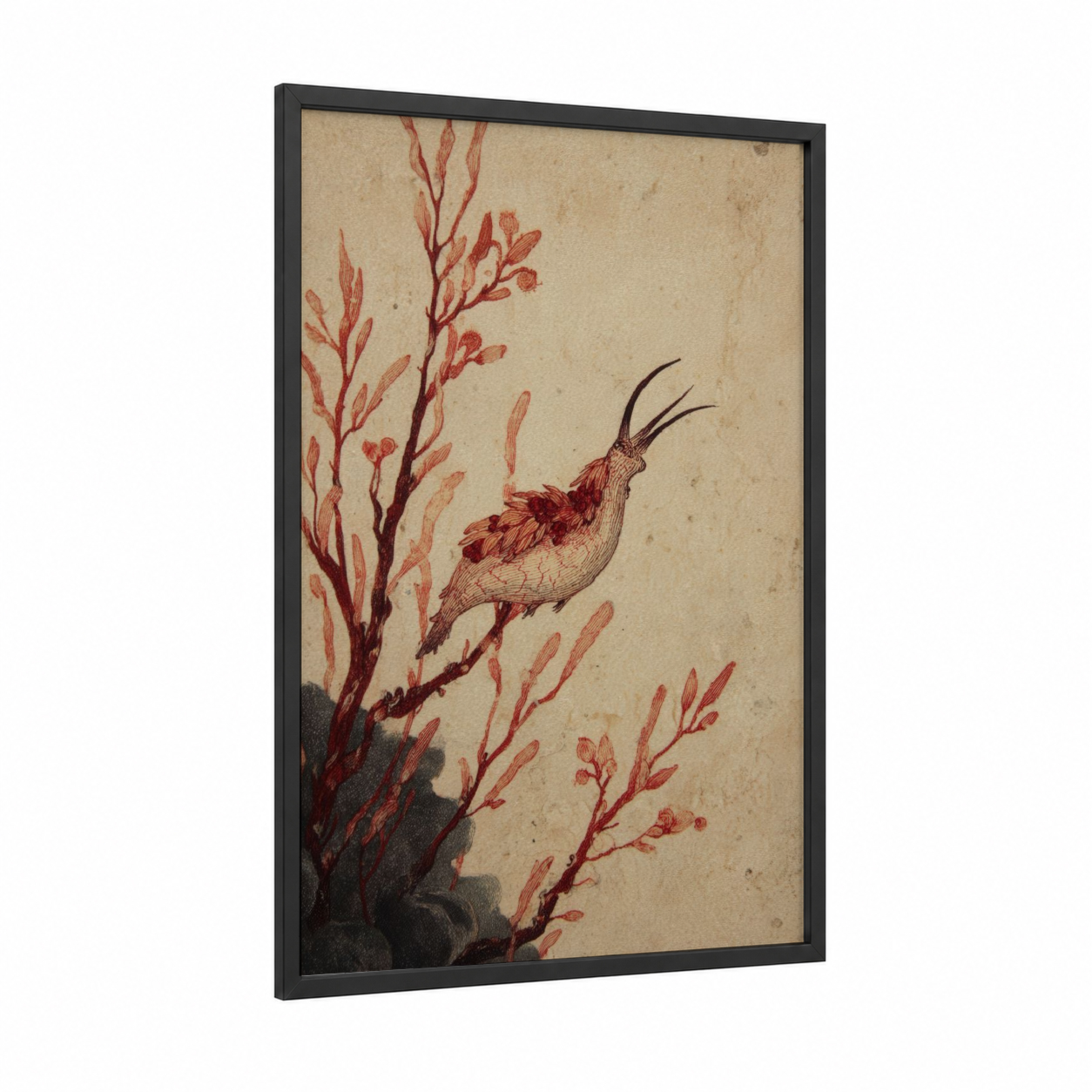 Crimson Nudibranch framed art print — black wood frame — russet and cream palette