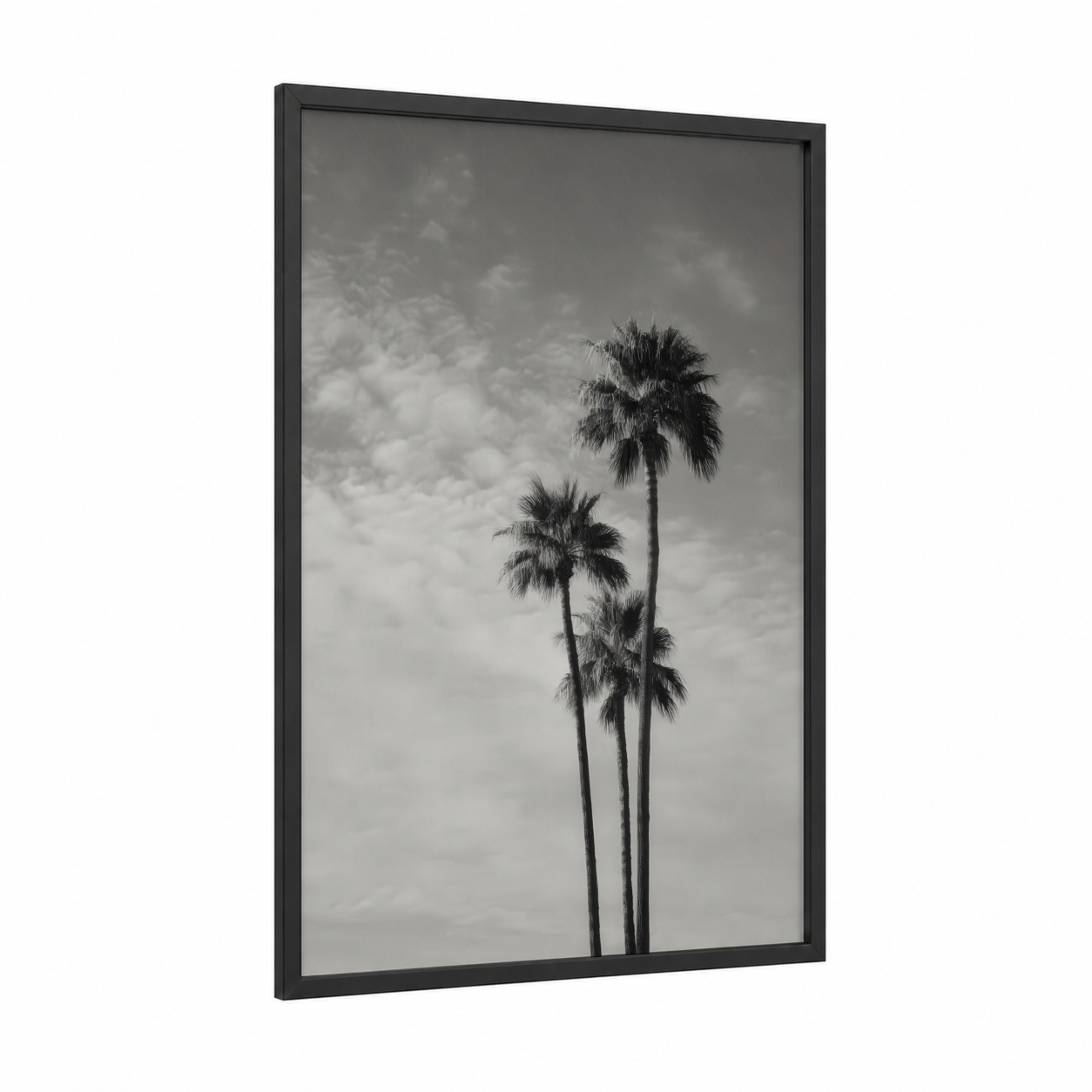 Coastal Palm Trio framed palm tree print — black wood frame — black and white and gray palette