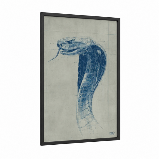 Cobra Blueprint Study framed art print — black wood frame — blue and beige palette