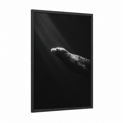 Ethereal Seal framed art print — black wood frame — black and white palette