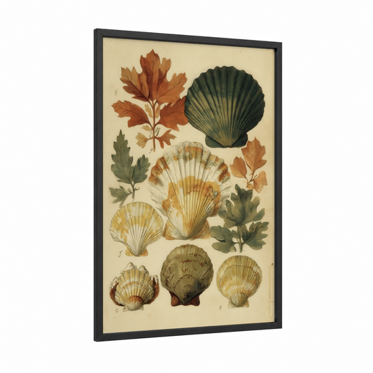 Vintage Shell Collection framed seafood print — black wood frame — beige and brown palette