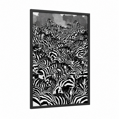 Zebra Herd Stampede framed art print — black wood frame — black and white palette