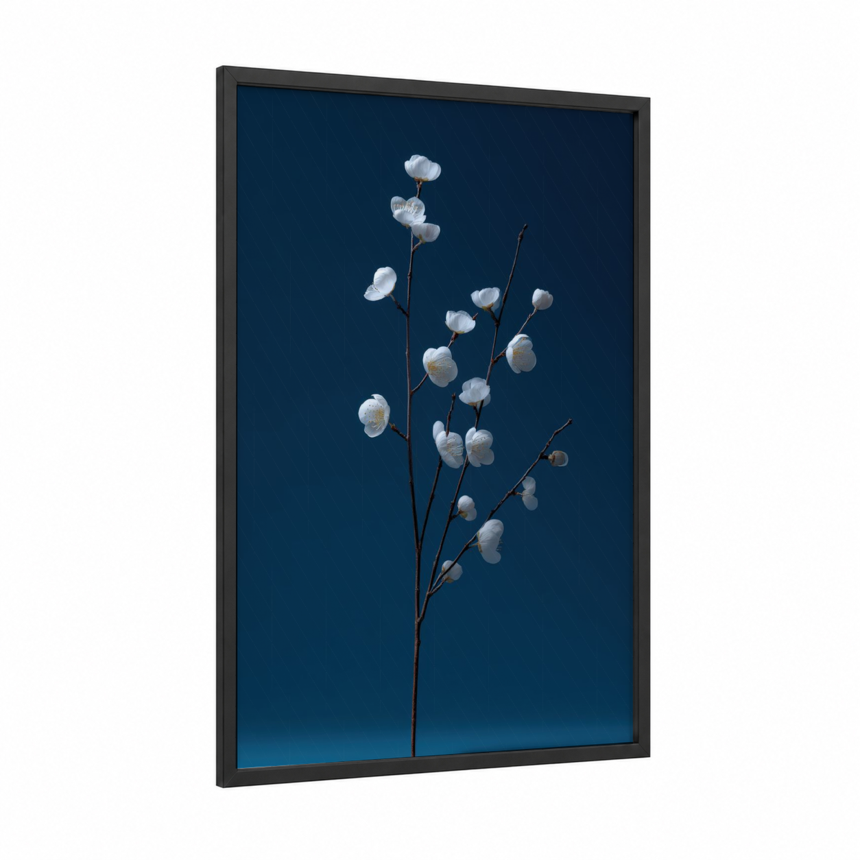 Ivory Blossom Branch framed cherry blossoms print — black wood frame — white and dark blue palette