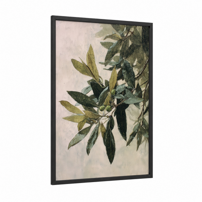 Olive Branch Study framed olive tree print — black wood frame — sage green and cream palette