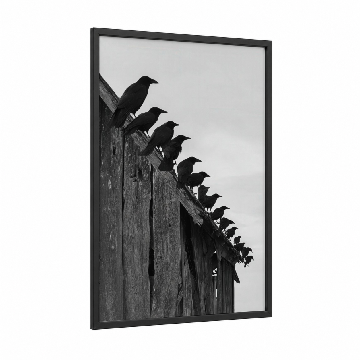 Perched Ravens framed crows and ravens print — black wood frame — black and white palette