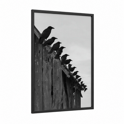 Perched Ravens framed crows and ravens print — black wood frame — black and white palette