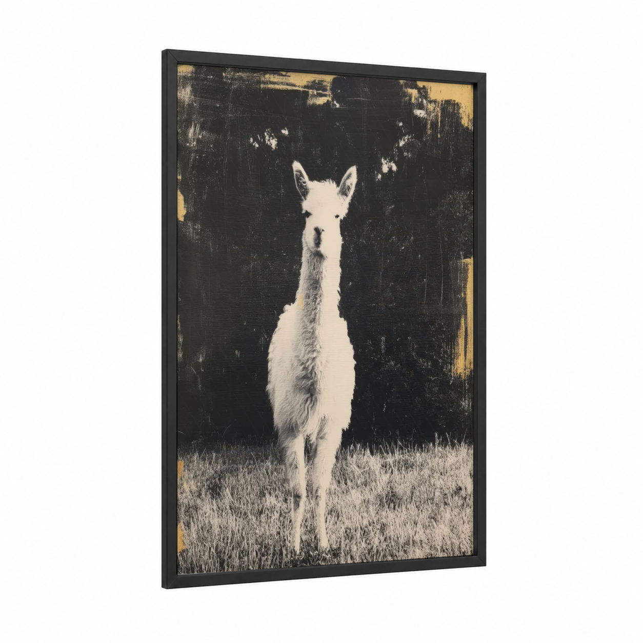 Stare Alpaca framed art print — black wood frame — black and white and gold palette