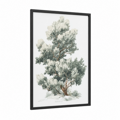 Misty Juniper framed juniper tree print — black wood frame — sage green and cream palette