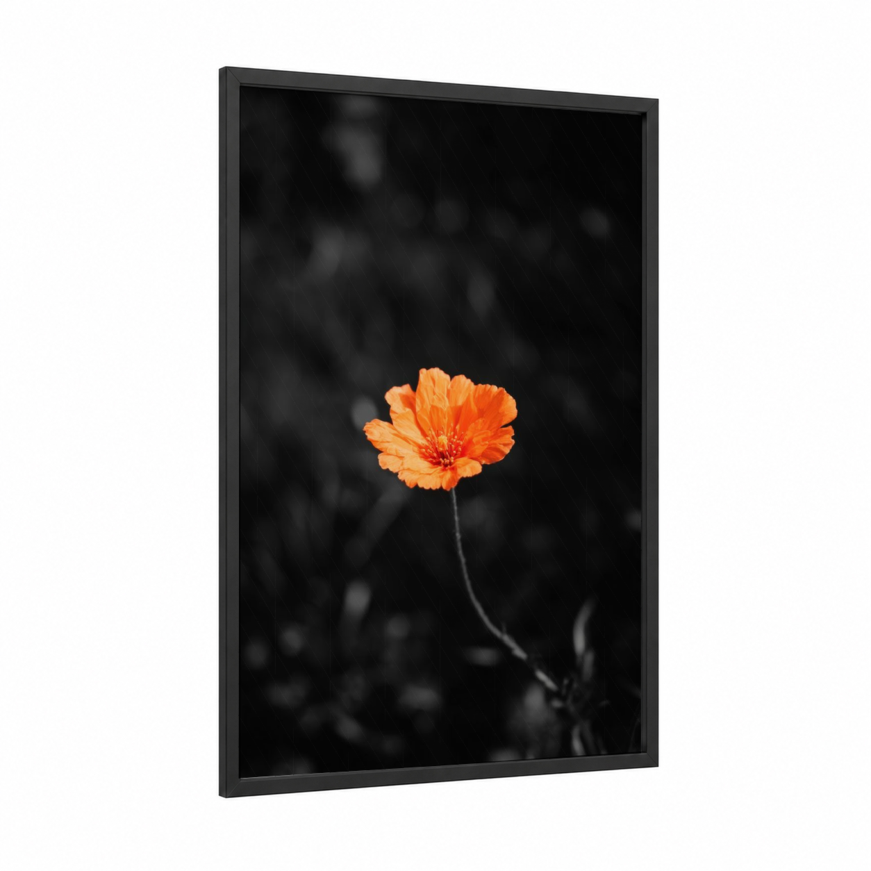Vibrant Poppy Bloom framed abstract flower print — black wood frame — orange and black and white palette