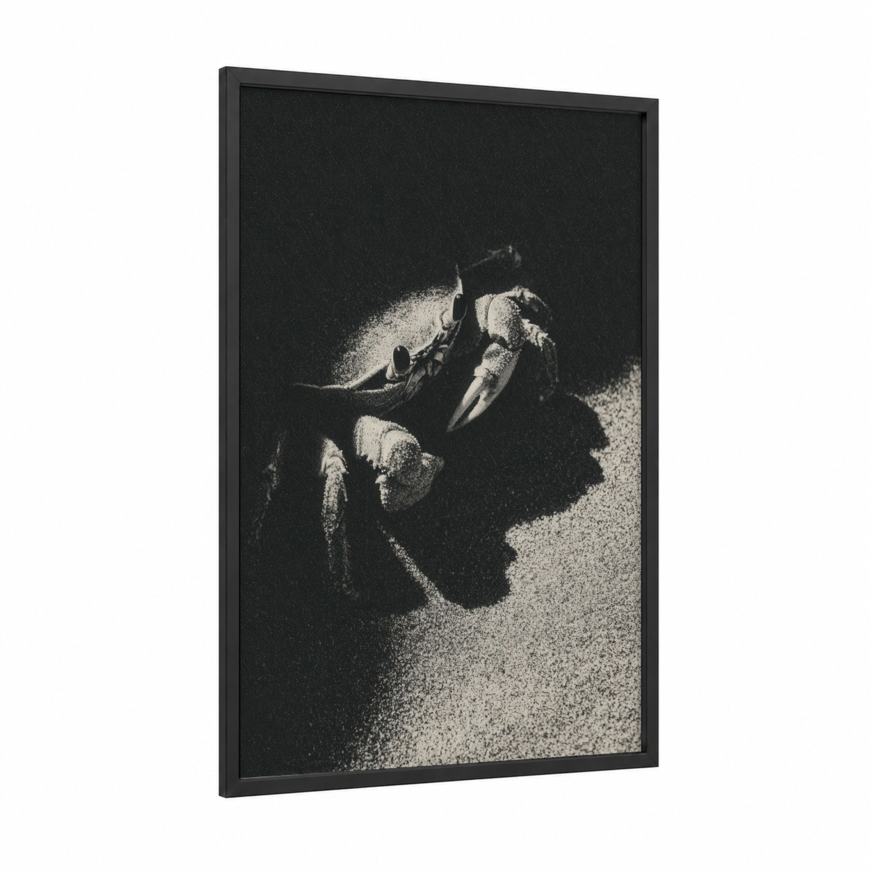 Sandy Crab Venture framed art print — black wood frame — black and white palette