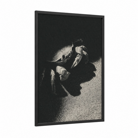 Sandy Crab Venture framed art print — black wood frame — black and white palette