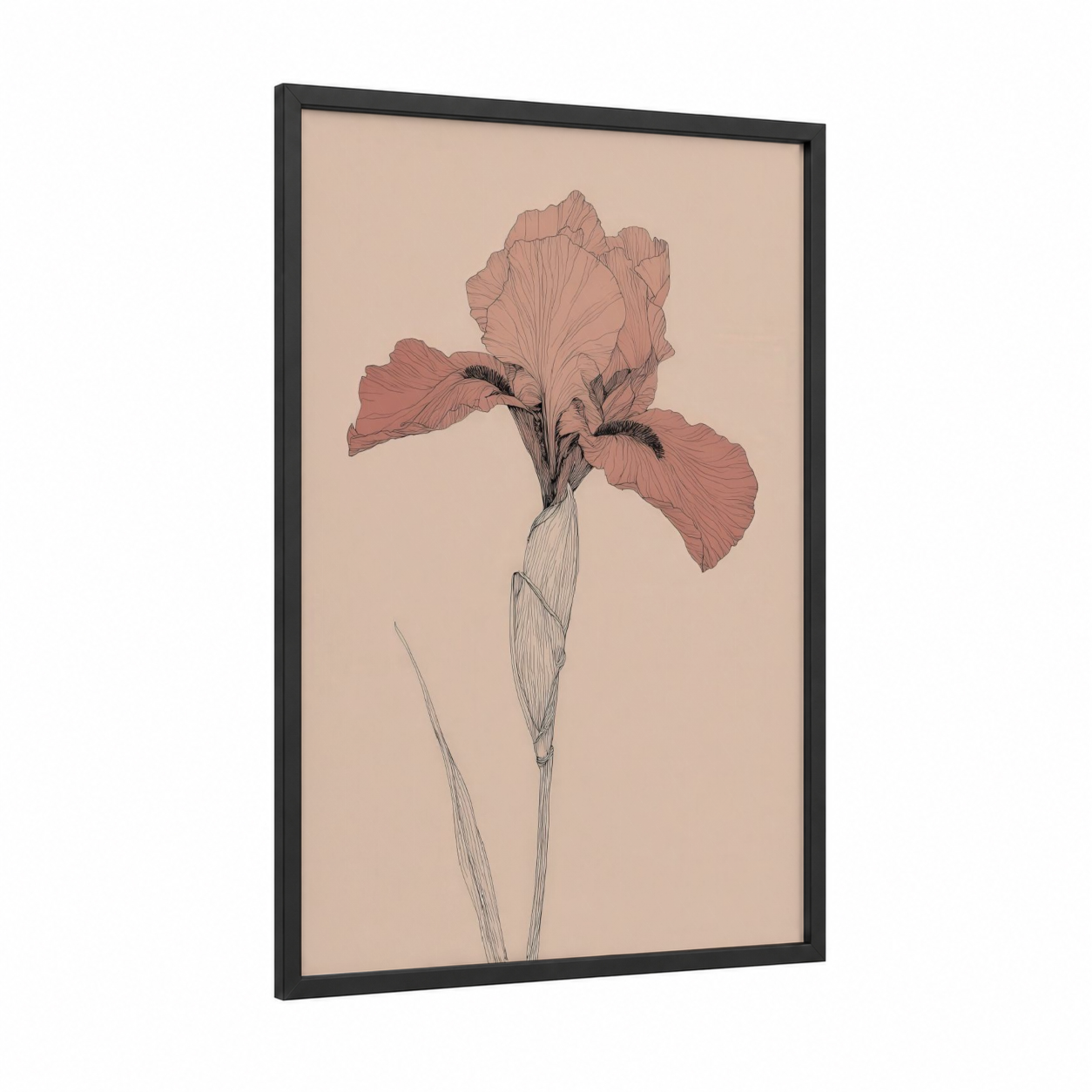 Salmon Iris framed art print — black wood frame — salmon pink and beige palette