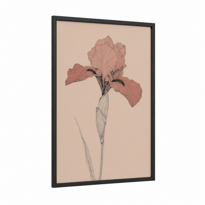 Salmon Iris framed art print — black wood frame — salmon pink and beige palette