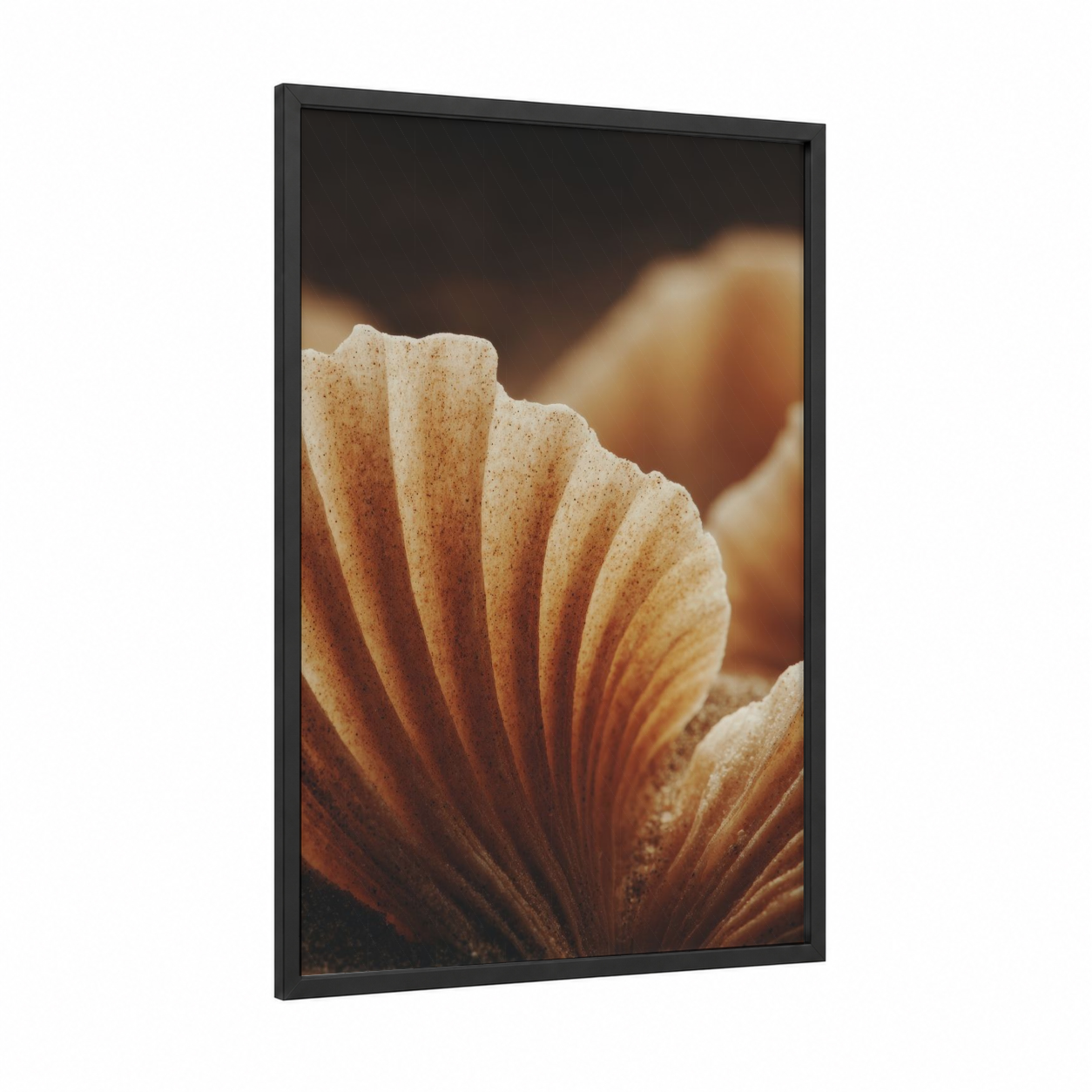 Amber Seashell framed art print — black wood frame — gold and peach palette