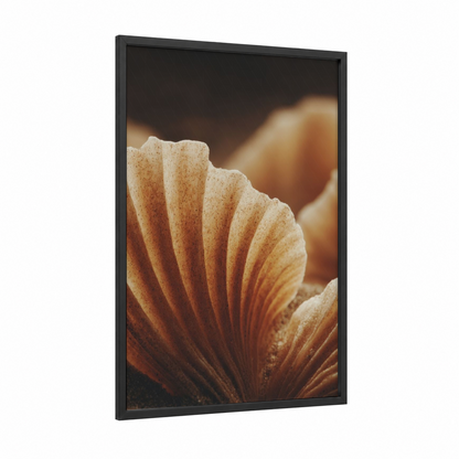 Amber Seashell framed art print — black wood frame — gold and peach palette