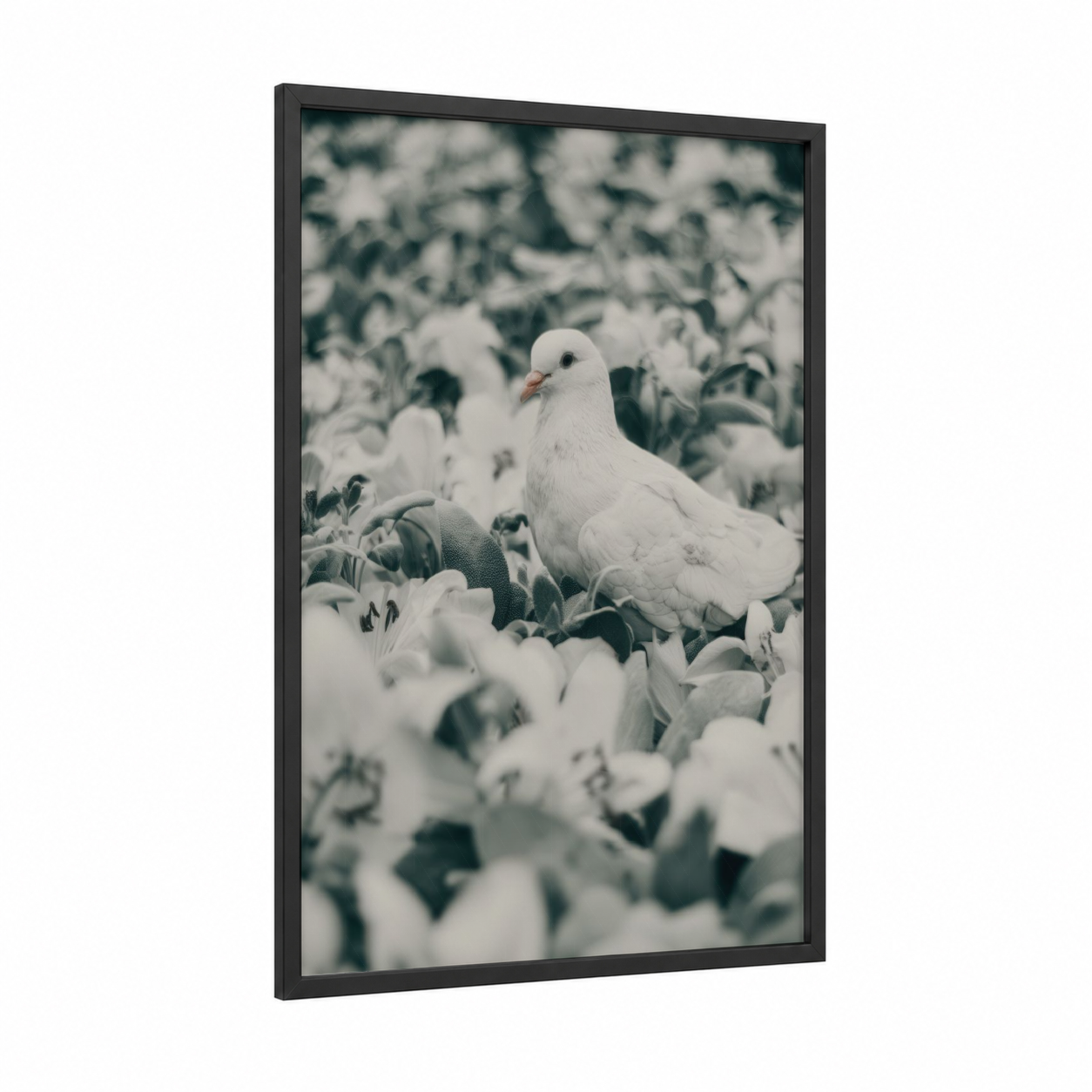 White Dove Garden framed art print — black wood frame — white and sage green palette