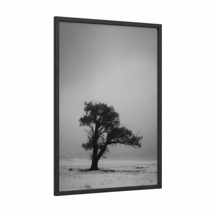 Solitary Cedar framed cedar tree print — black wood frame — black and white and gray palette