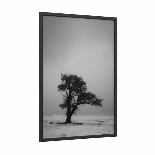 Solitary Cedar framed cedar tree print — black wood frame — black and white and gray palette