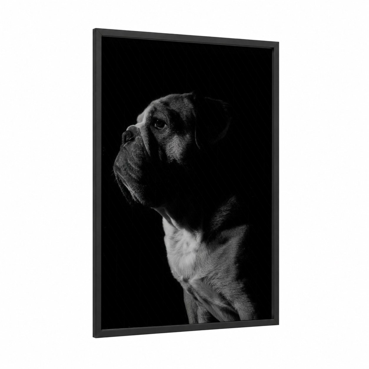 Contemplative Bulldog framed art print — black wood frame — black and white palette