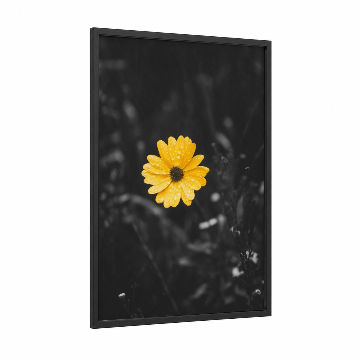 Vibrant Yellow Daisy framed abstract flower print — black wood frame — yellow gold and black and white palette