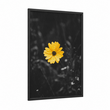 Vibrant Yellow Daisy framed abstract flower print — black wood frame — yellow gold and black and white palette