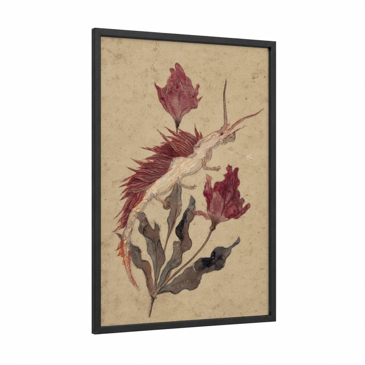 Crimson Nudibranch framed art print — black wood frame — maroon and cream palette