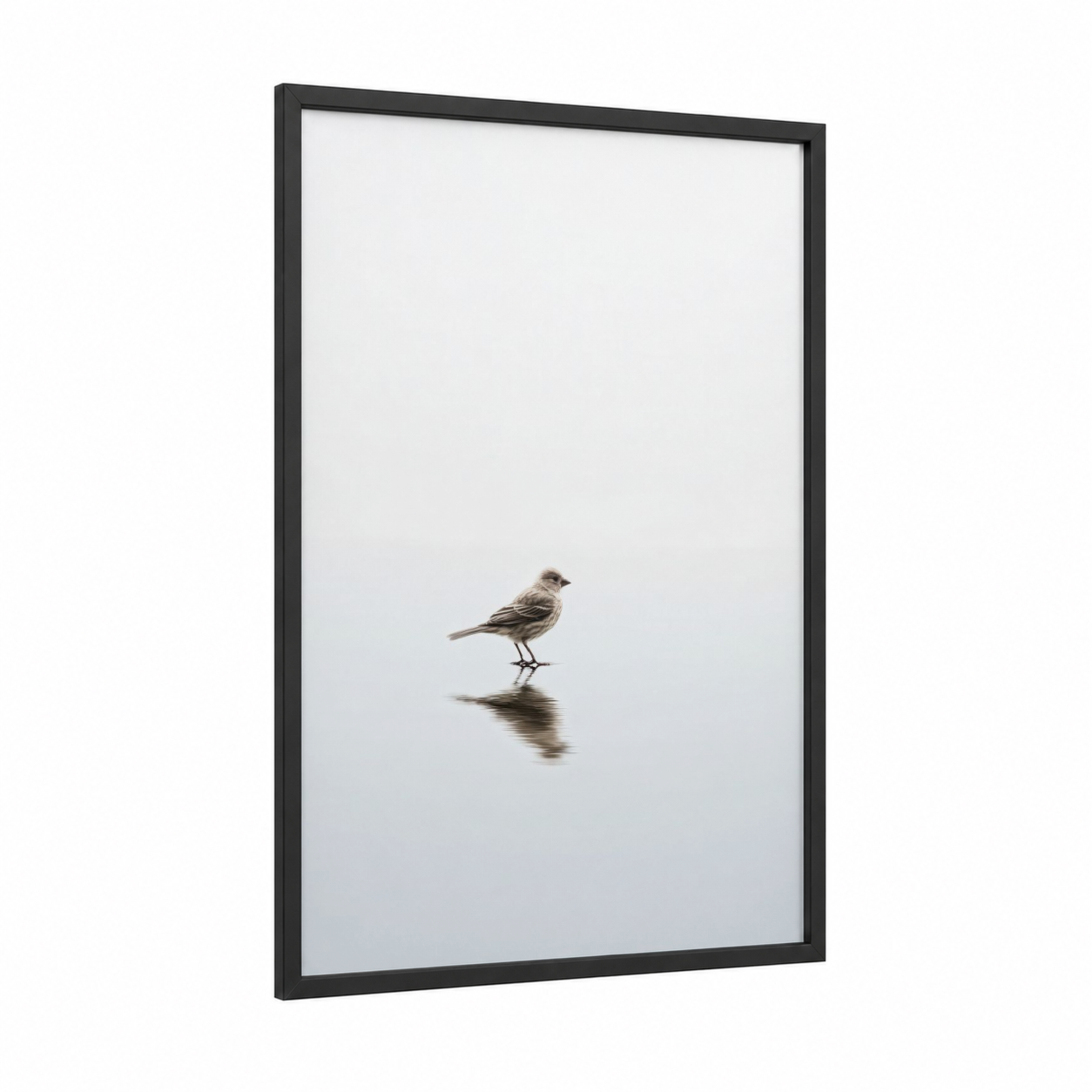 Solitary Finch framed art print — black wood frame — gray and white palette