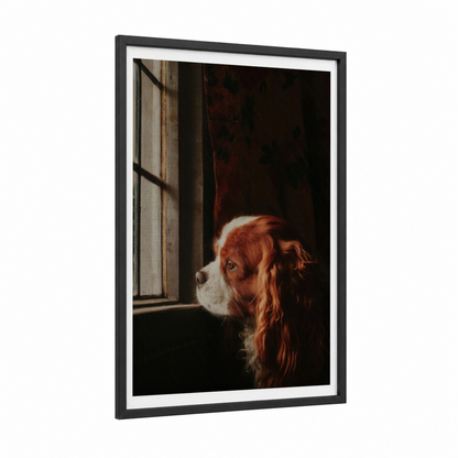 Window Spaniel framed art print — black wood frame — russet and black and white palette