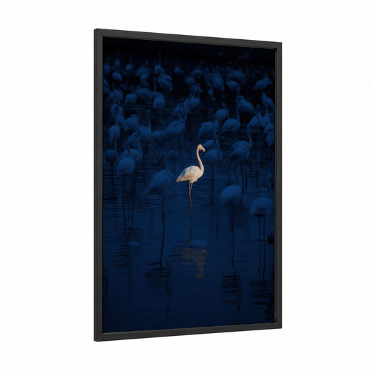 Luminous Flamingo framed art print — black wood frame — dark blue and white palette