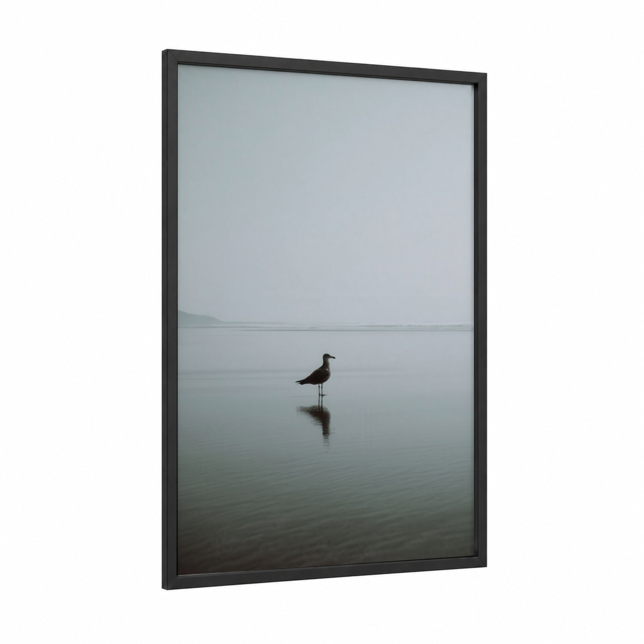 Solitary Seagull framed art print — black wood frame — gray and white and dove gray palette