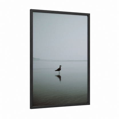 Solitary Seagull framed art print — black wood frame — gray and white and dove gray palette