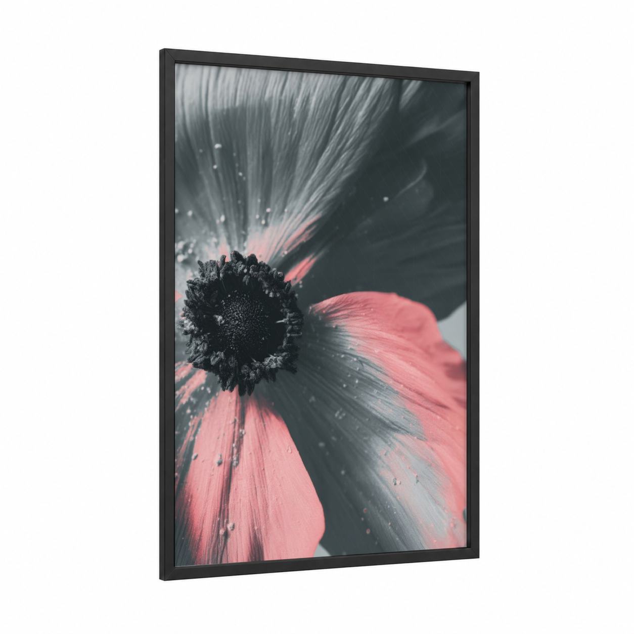 Monochrome Petals framed abstract flower print — black wood frame — gray and salmon pink palette