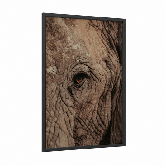 Amber Eye Elephant framed savanna elephant print — black wood frame — brown and espresso palette