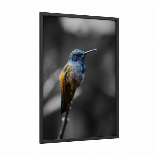 Blue Hummingbird Portrait framed art print — black wood frame — blue and gold palette