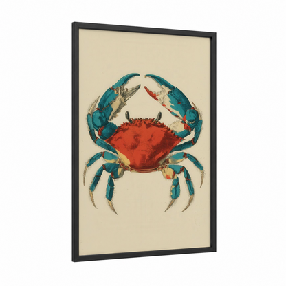 Blue Crab Vintage framed art print — black wood frame — teal and red palette