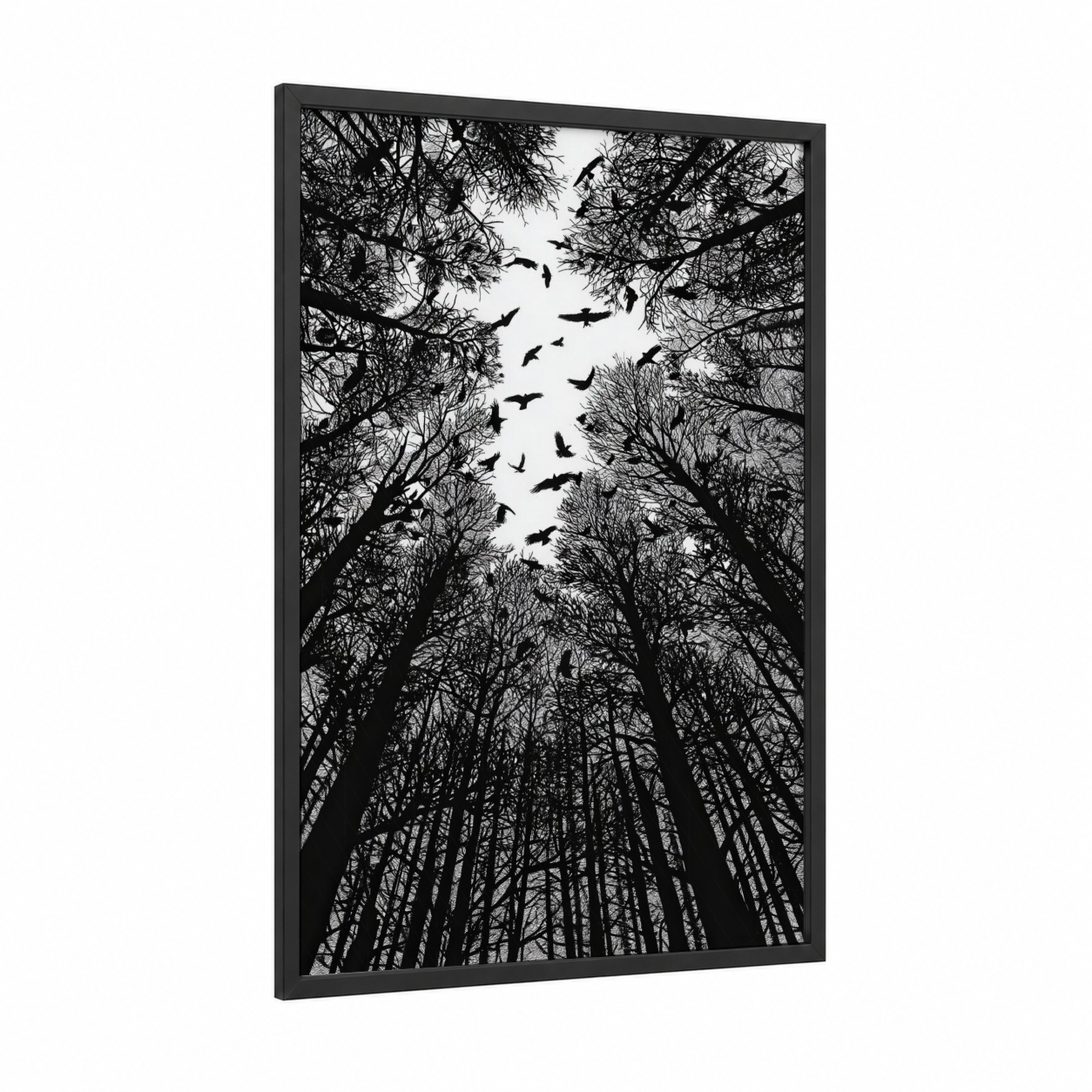 Forest Flight framed crows and ravens print — black wood frame — black and white palette
