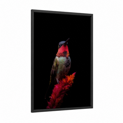 Crimson Hummingbird framed art print — black wood frame — red and black palette