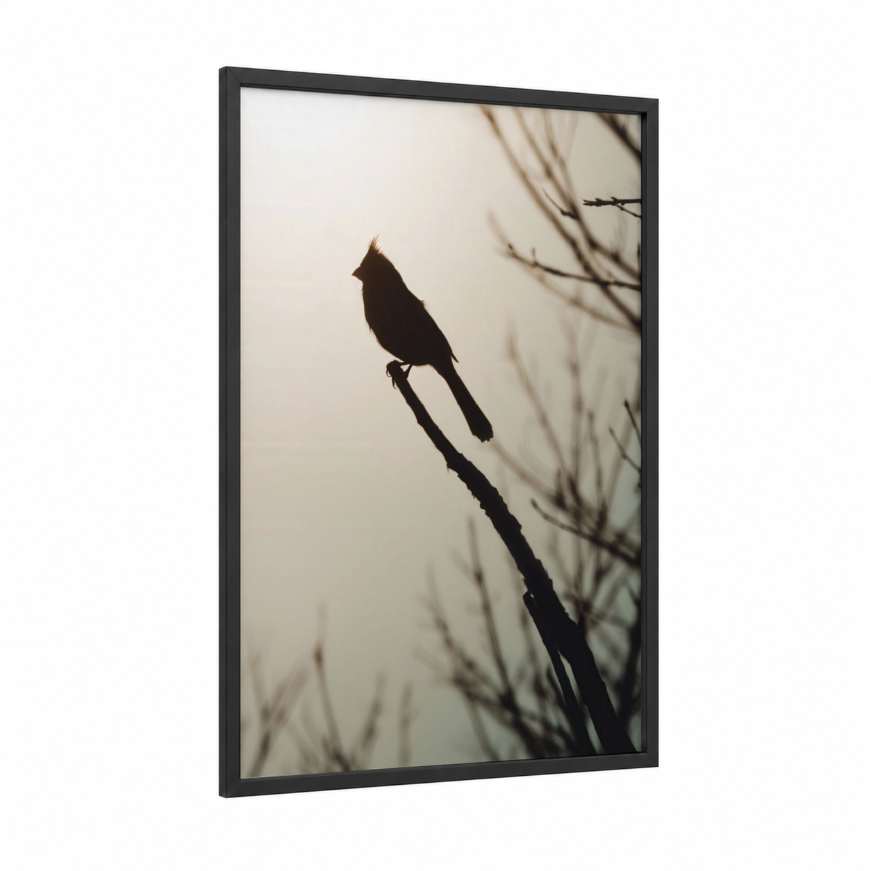 Perched Cardinal framed art print — black wood frame — black and cream palette
