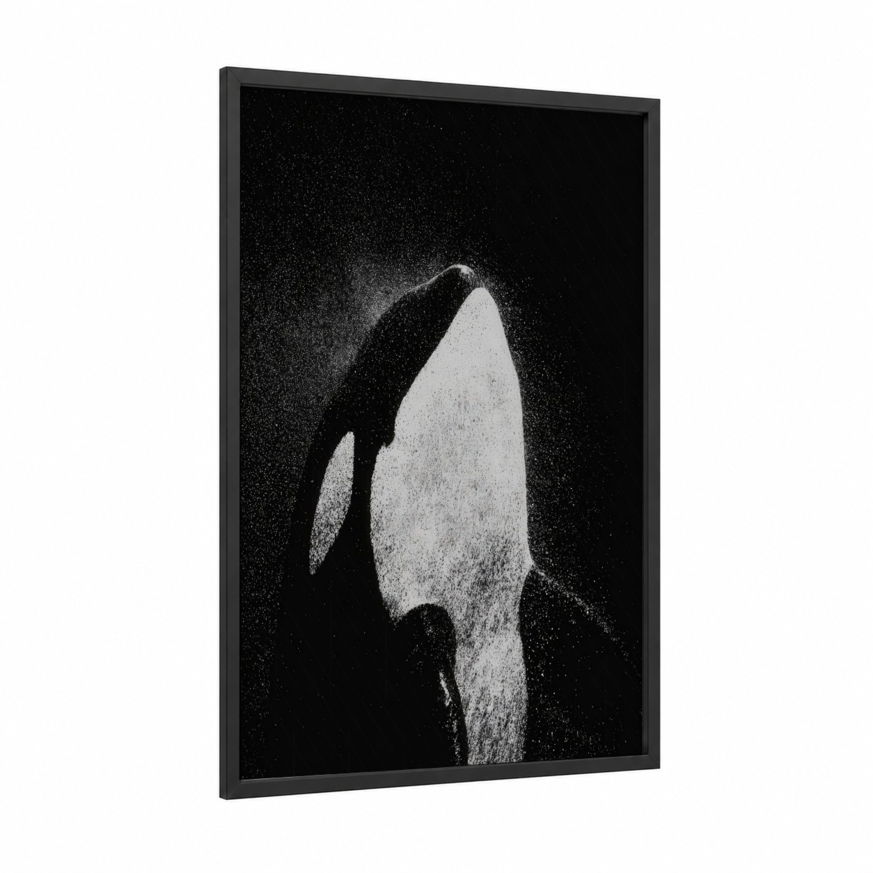 Diving Orca framed orca whale print — black wood frame — black and white palette